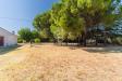 Villa in vendita a Gioia del Colle in strada vicinale vecchia matera 501 - 04, Foto 4