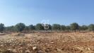 Terreno Agricolo in vendita a Taranto in le lamie snc - 07, Foto 7