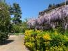 Villa in vendita con giardino a Roma in via paolo emilio pavolini - 06, Foto 6