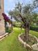 Villa in vendita con giardino a Loiri Porto San Paolo in via giovan battista decandia - 02, Foto 2