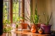 Casa indipendente in vendita con giardino a Quarna Sotto in viale casanova 4 - 10, Foto 10