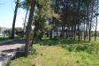 Terreno Agricolo in vendita a Martina Franca in via mottola 91 - 10, Foto 10