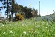 Terreno Agricolo in vendita a Martina Franca in via mottola 91 - 03, Foto 3