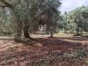 Casa indipendente in vendita da ristrutturare a Ceglie Messapica in contrada barone sn - 10, Foto 10