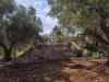 Casa indipendente in vendita da ristrutturare a Ceglie Messapica in contrada barone sn - 06, Foto 6