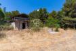 Rustico in vendita con giardino a Andria in contrada castel del monte sn - 04, Foto 4