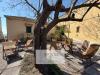Appartamento monolocale in affitto ristrutturato a Cervo in via aurelia - 06, Foto 6