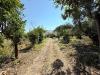 Terreno Agricolo in vendita a Carini in via aldo moro - 03, Foto 3