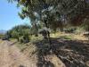 Terreno Agricolo in vendita a Carini in via aldo moro - 04, Foto 4