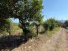 Terreno Agricolo in vendita a Carini in via aldo moro - 05, Foto 5