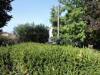 Villa in vendita con giardino a Capannori in via di tiglio 715 - 03, DSCN4812.JPG