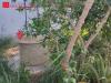 Villa in affitto arredato a Lecce - torre chianca - 02