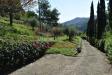 Rustico in vendita con giardino a Camaiore - 03