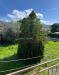 Rustico in vendita con giardino a Camaiore - capezzano pianore - 04