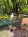 Casa indipendente in vendita con giardino a Camaiore - vado - 03