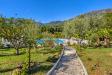 Villa in vendita con giardino a Camaiore - pontemazzori - 03