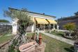 Villa in vendita con giardino a Cerea in via mantova - 03, DSC04370.JPG