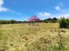 Terreno Agricolo in vendita a Roma in via bergantino - 03, Foto 3