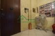 Appartamento in vendita con box a Catania in via caronda - 06, Foto 6
