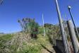 Terreno Agricolo in vendita a Catania in c/da telegrafo vecchio - 10, Foto 10