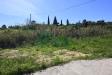 Terreno Agricolo in vendita a Catania in c/da telegrafo vecchio - 09, Foto 9