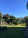 Villa in vendita con giardino a Massa - viali - 04