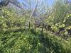 Casa indipendente in vendita con giardino a Camaiore - montemagno - 05
