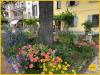 Appartamento in affitto a Molinella - 05, Foto 5