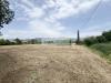 Terreno Agricolo in vendita a Camaiore in via del gallino 11 - 03, Foto 3