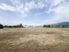 Terreno Agricolo in vendita a Camaiore in via del gallino 11 - 04, Foto 4