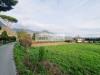 Terreno Agricolo in vendita a Camaiore in via della serra - 02, Foto 2