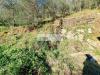 Terreno Agricolo in vendita a Camaiore in via sandro pertini - 03, Foto 3