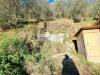 Terreno Agricolo in vendita a Camaiore in via sandro pertini - 04, Foto 4
