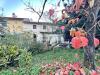 Casa indipendente in vendita con giardino a Camaiore in via xxv aprile - 03, Foto 3