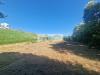Terreno Agricolo in vendita a Camaiore in via bucine est - 02, Foto 2
