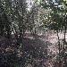 Terreno Agricolo in vendita a Avellino in via satoli - 02, Foto 2