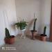 Casa indipendente in vendita con giardino a Avellino in variante strada provinciale 20 - 05, Foto 5