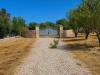 Terreno Agricolo in vendita nuovo a Ostuni in contrada san benedetto - 06, 2441C3B4-4CD9-4372-9DB0-5EADE415BF8E