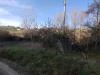 Terreno Agricolo in vendita a Controguerra - lungomare - 08, WhatsApp Image 2024-05-13 at 11.19.21.jpeg