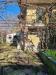 Casa indipendente in vendita con giardino a Sant'Omero - lungomare - 08, 9 corte esterna privata .jpeg