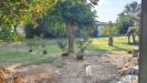 Appartamento in vendita con giardino a Fontanellato in via localit parola 112 - 08, Foto 8