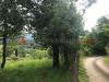 Terreno Agricolo in affitto a Tivoli - 10, WhatsApp Image 2025-05-09 at 10.48.33.jpeg