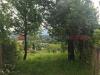 Terreno Agricolo in affitto a Tivoli - 03, WhatsApp Image 2025-05-09 at 10.48.32 (2).jpeg