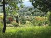 Terreno Agricolo in affitto a Tivoli - 05, WhatsApp Image 2025-05-09 at 10.48.32.jpeg