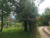 Terreno Agricolo in affitto a Tivoli - 06, WhatsApp Image 2025-05-09 at 10.48.33 (1).jpeg