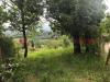 Terreno Agricolo in affitto a Tivoli - 09, WhatsApp Image 2025-05-09 at 10.48.33 (4).jpeg