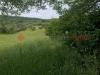 Terreno Agricolo in affitto a Tivoli - 02, WhatsApp Image 2025-05-09 at 10.48.21.jpeg