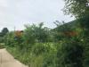 Terreno Agricolo in affitto a Tivoli - 05, WhatsApp Image 2025-05-09 at 10.48.23 (1).jpeg