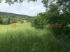 Terreno Agricolo in affitto a Tivoli - 06, WhatsApp Image 2025-05-09 at 10.48.23.jpeg