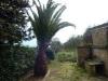 Rustico in vendita con giardino a Massignano - 04, Foto 4